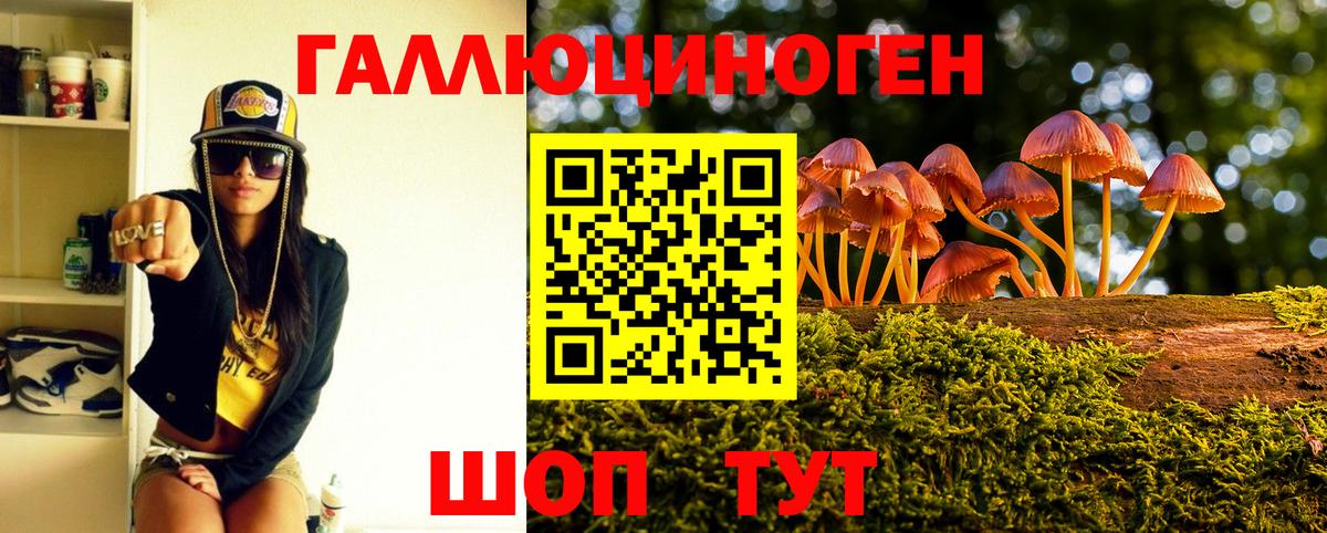 Псилоцибиновые грибы Psilocybine cubensis  Вход с VPN  Галлюциногенные грибы MAGIC MUSHROOMS  Рассказово 
