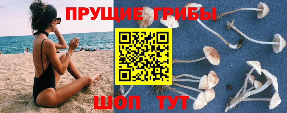 Галлюциногенные грибы мицелий Рассказово